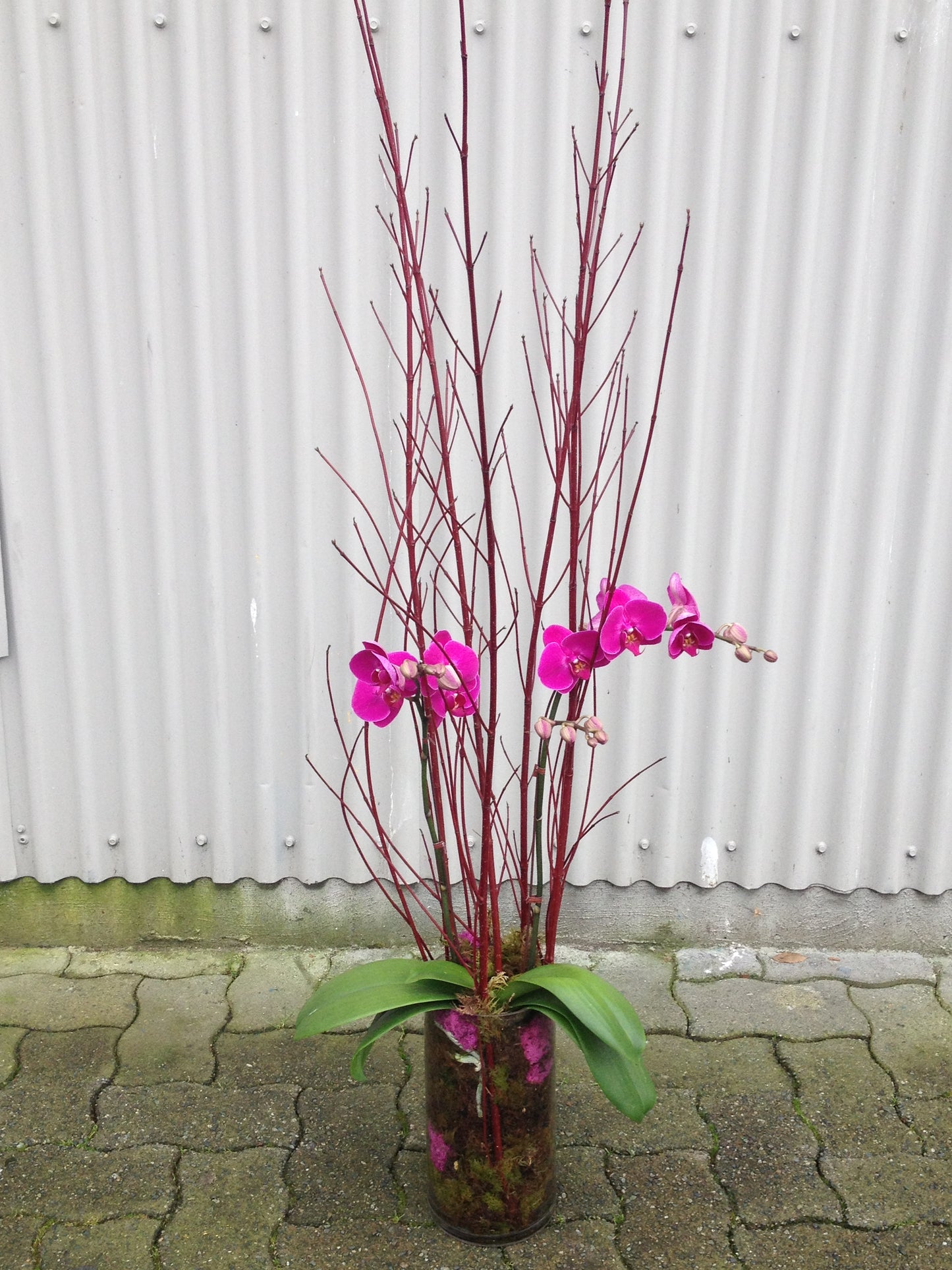 Orchid planter