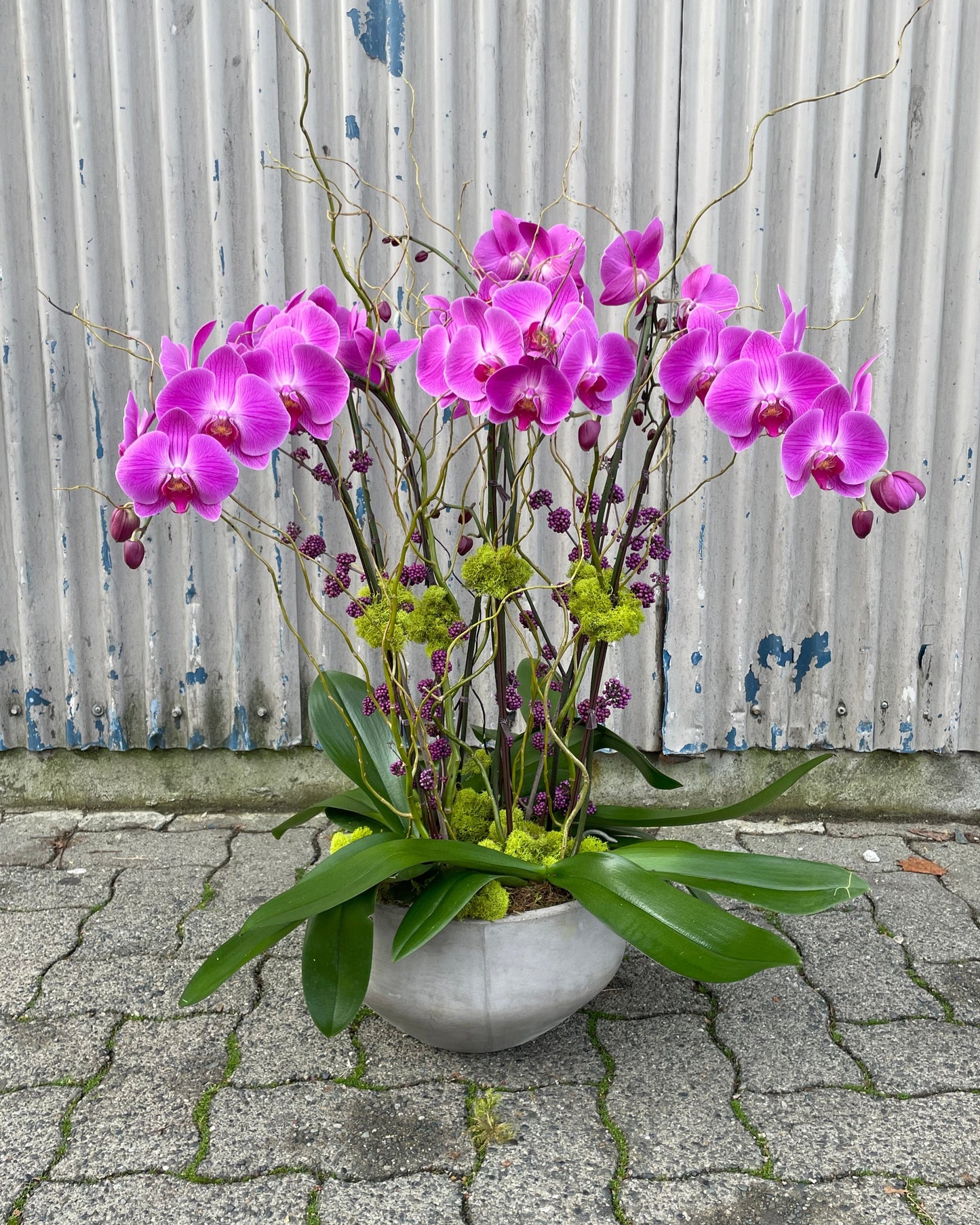 Orchid planter