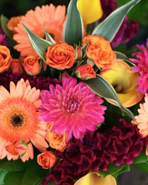 Small & Sweet Floral Subscription