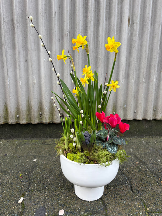 Spring Planter