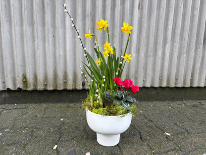 Spring Planter