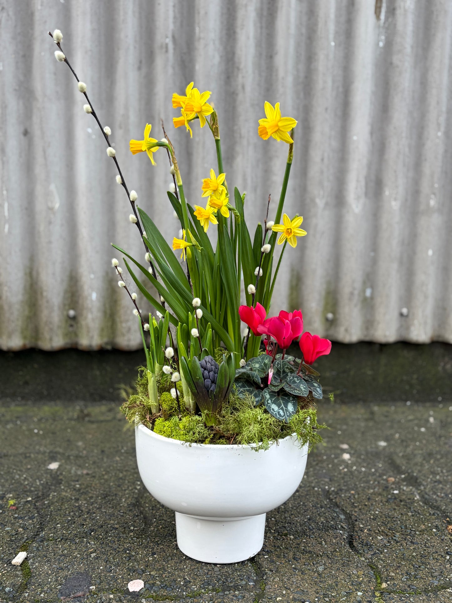Spring Planter